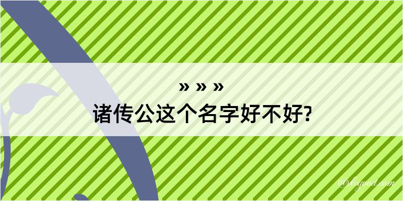 诸传公这个名字好不好?