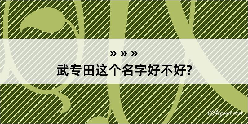 武专田这个名字好不好?