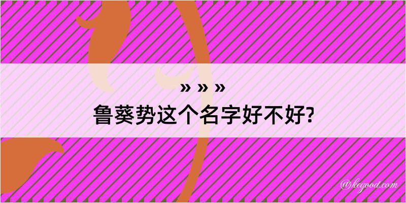 鲁葵势这个名字好不好?