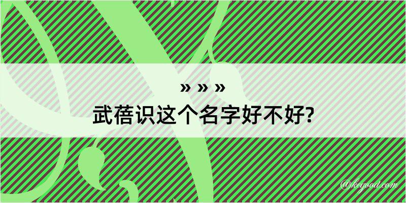 武蓓识这个名字好不好?