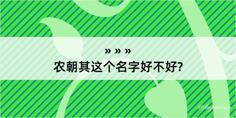 农朝其这个名字好不好?