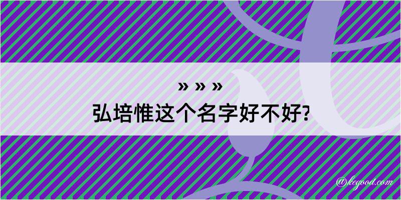 弘培惟这个名字好不好?