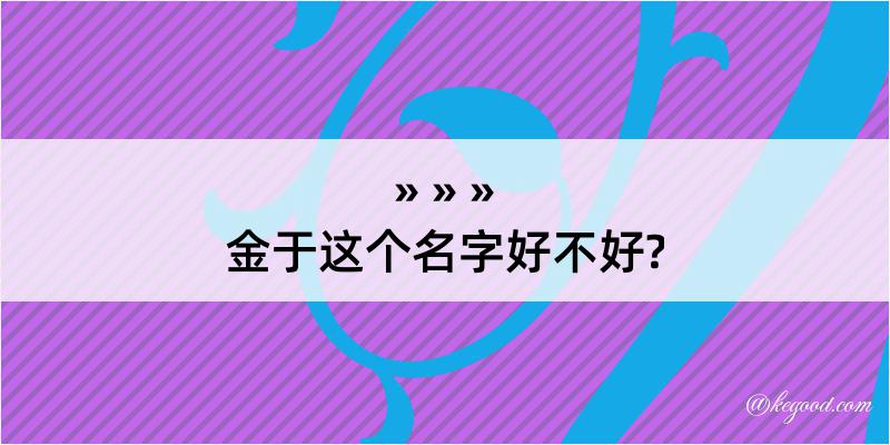 金于这个名字好不好?