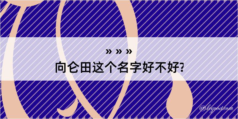 向仑田这个名字好不好?