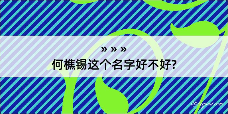 何樵锡这个名字好不好?