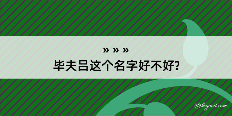 毕夫吕这个名字好不好?