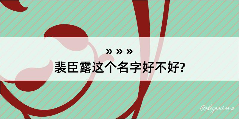 裴臣露这个名字好不好?