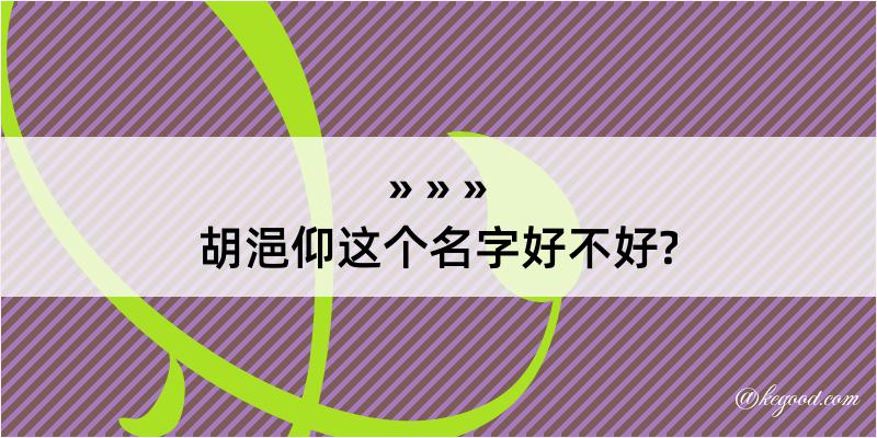 胡浥仰这个名字好不好?