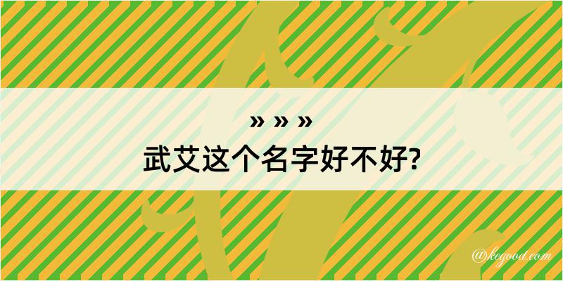 武艾这个名字好不好?