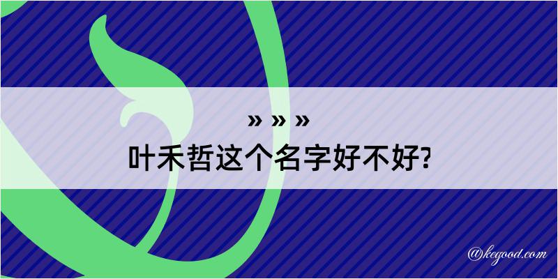 叶禾哲这个名字好不好?