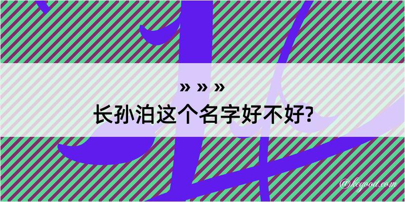 长孙泊这个名字好不好?