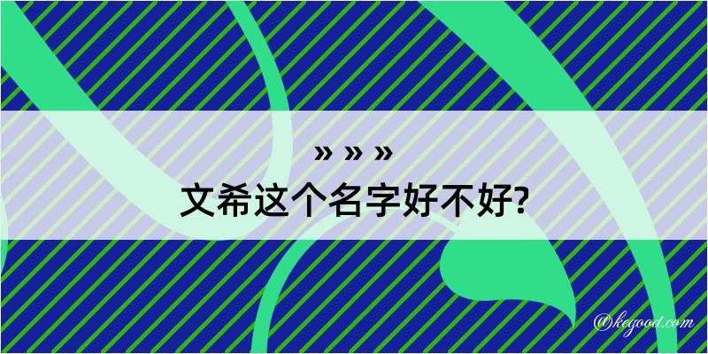 文希这个名字好不好?