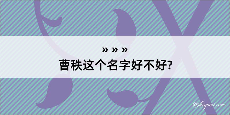 曹秩这个名字好不好?