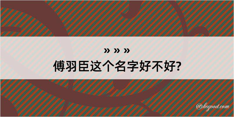 傅羽臣这个名字好不好?