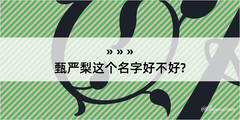 甄严梨这个名字好不好?