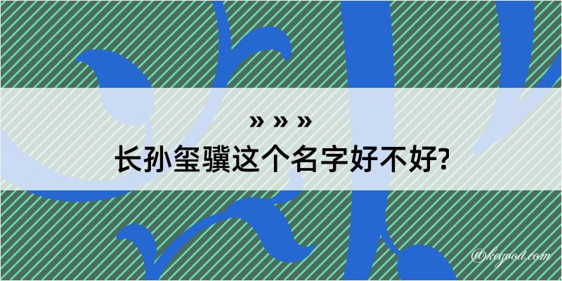 长孙玺骥这个名字好不好?