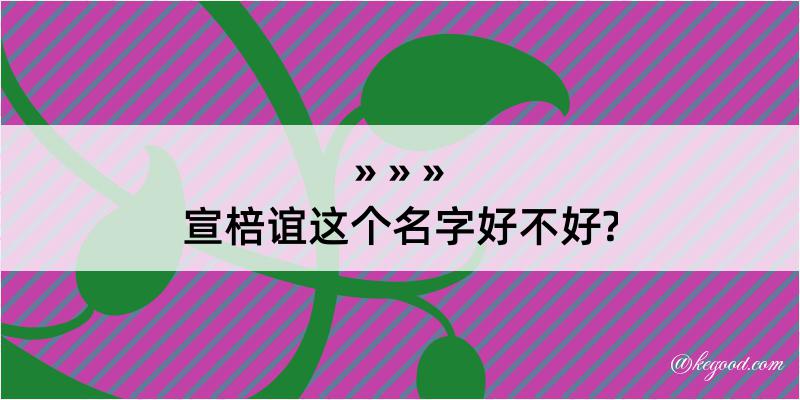 宣棓谊这个名字好不好?