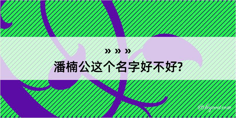 潘楠公这个名字好不好?