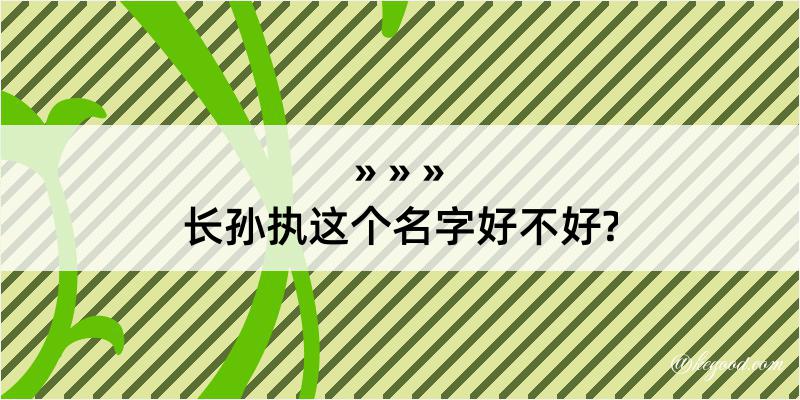 长孙执这个名字好不好?