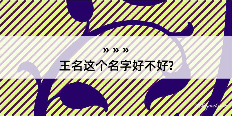 王名这个名字好不好?