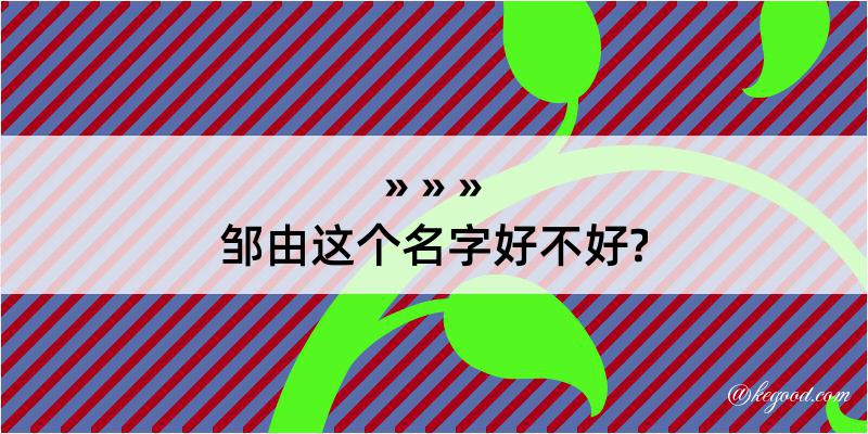 邹由这个名字好不好?