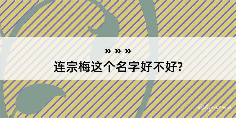 连宗梅这个名字好不好?