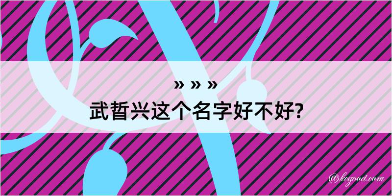 武晢兴这个名字好不好?