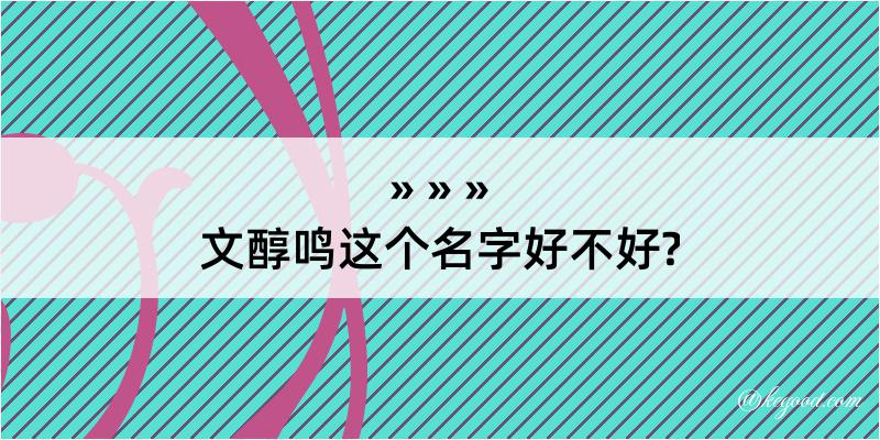 文醇鸣这个名字好不好?