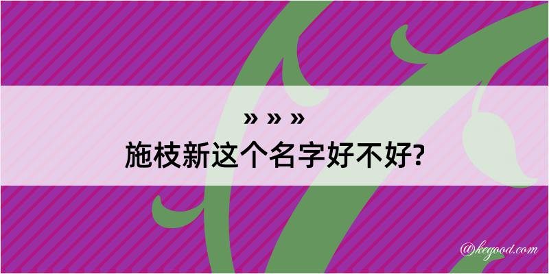 施枝新这个名字好不好?