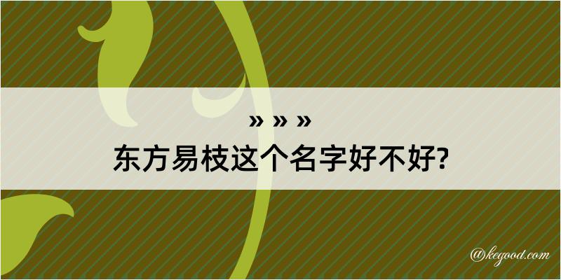 东方易枝这个名字好不好?