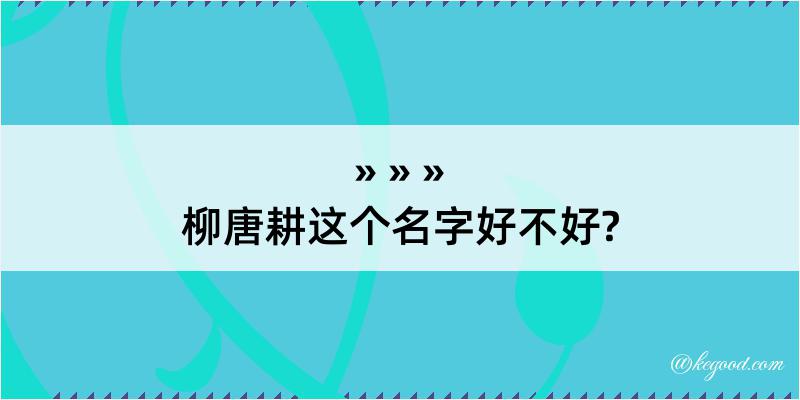 柳唐耕这个名字好不好?