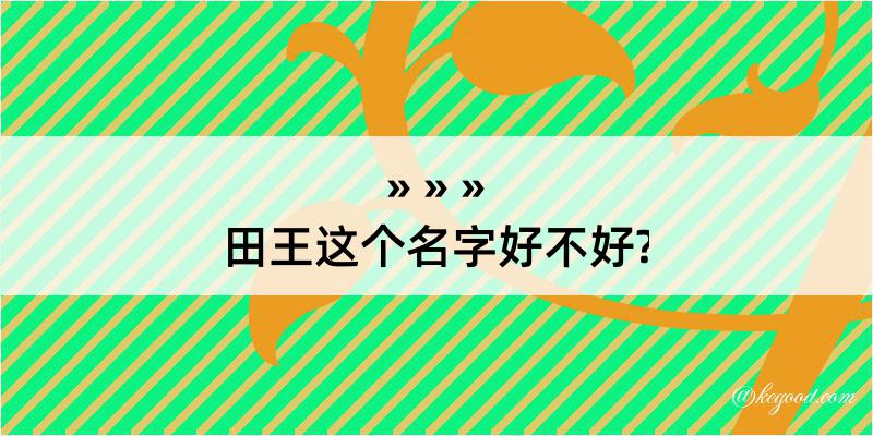 田王这个名字好不好?