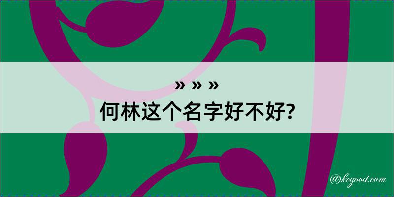 何林这个名字好不好?