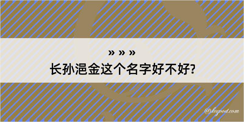 长孙浥金这个名字好不好?