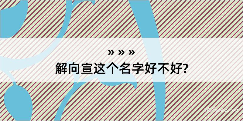 解向宣这个名字好不好?