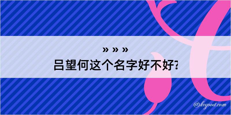 吕望何这个名字好不好?