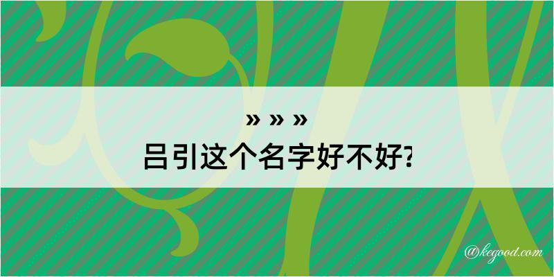 吕引这个名字好不好?