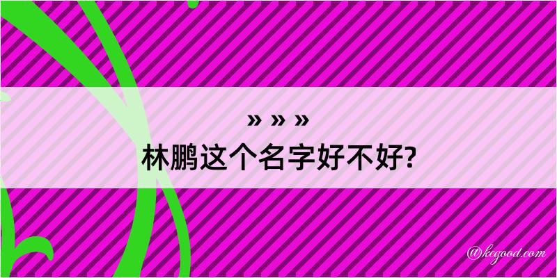 林鹏这个名字好不好?