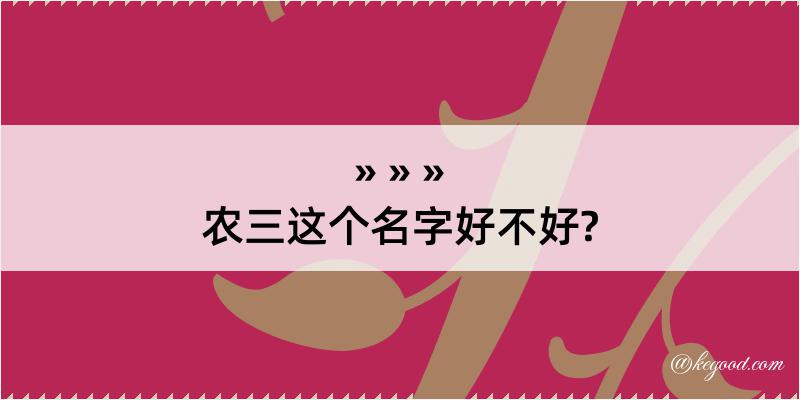 农三这个名字好不好?