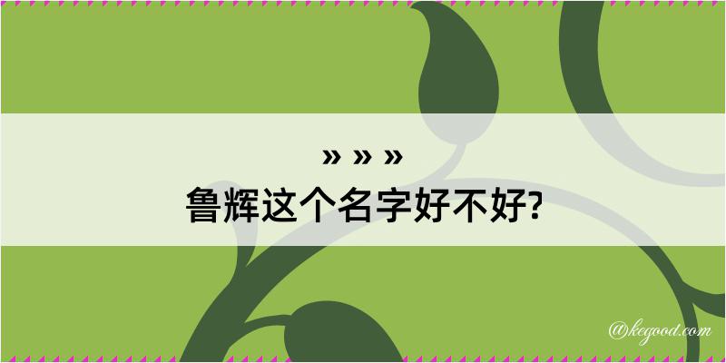 鲁辉这个名字好不好?