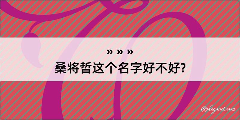 桑将晢这个名字好不好?