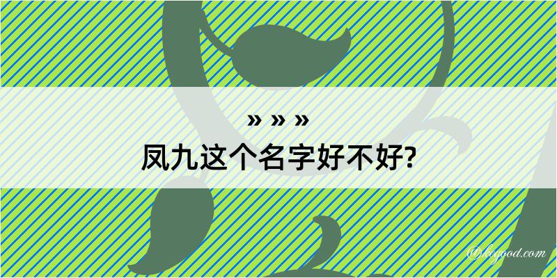 凤九这个名字好不好?