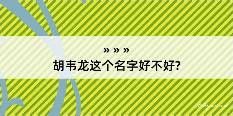 胡韦龙这个名字好不好?