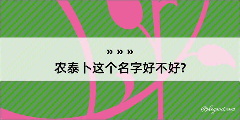 农泰卜这个名字好不好?