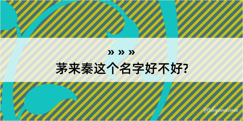 茅来秦这个名字好不好?