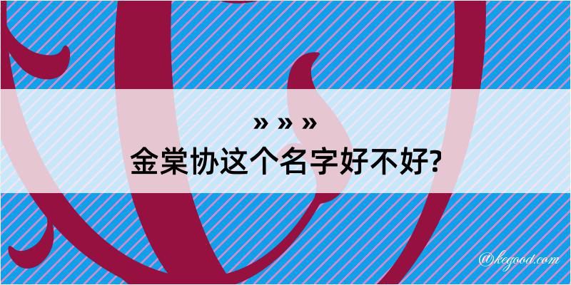 金棠协这个名字好不好?