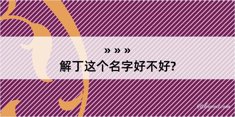 解丁这个名字好不好?