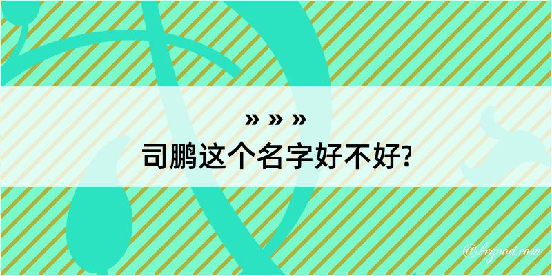 司鹏这个名字好不好?