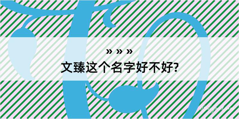 文臻这个名字好不好?