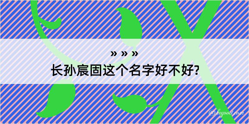 长孙宸固这个名字好不好?